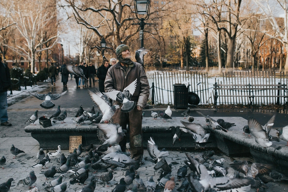 A man on a bench surrounded by pigeons